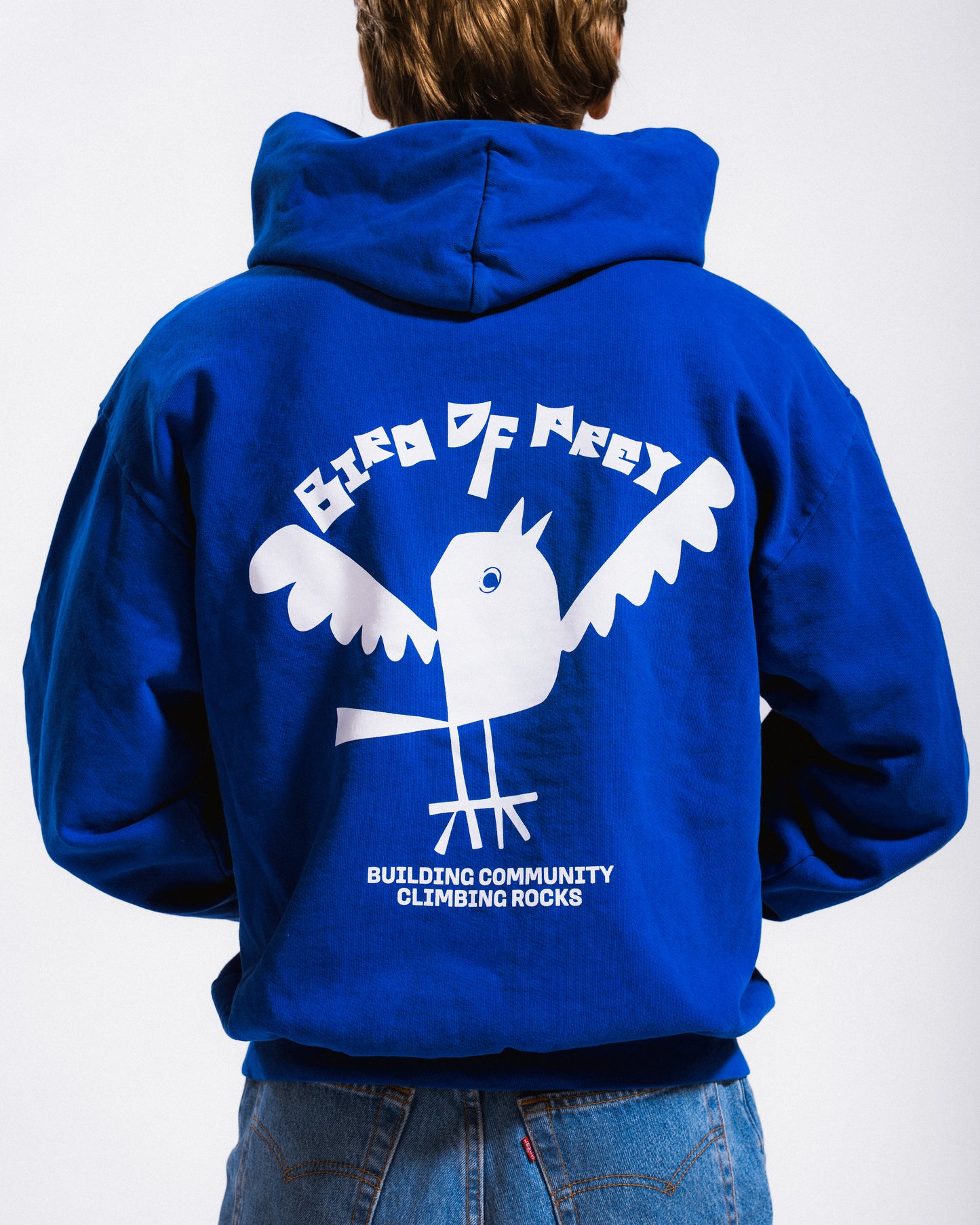 Early Bird Hoodie (Blue)