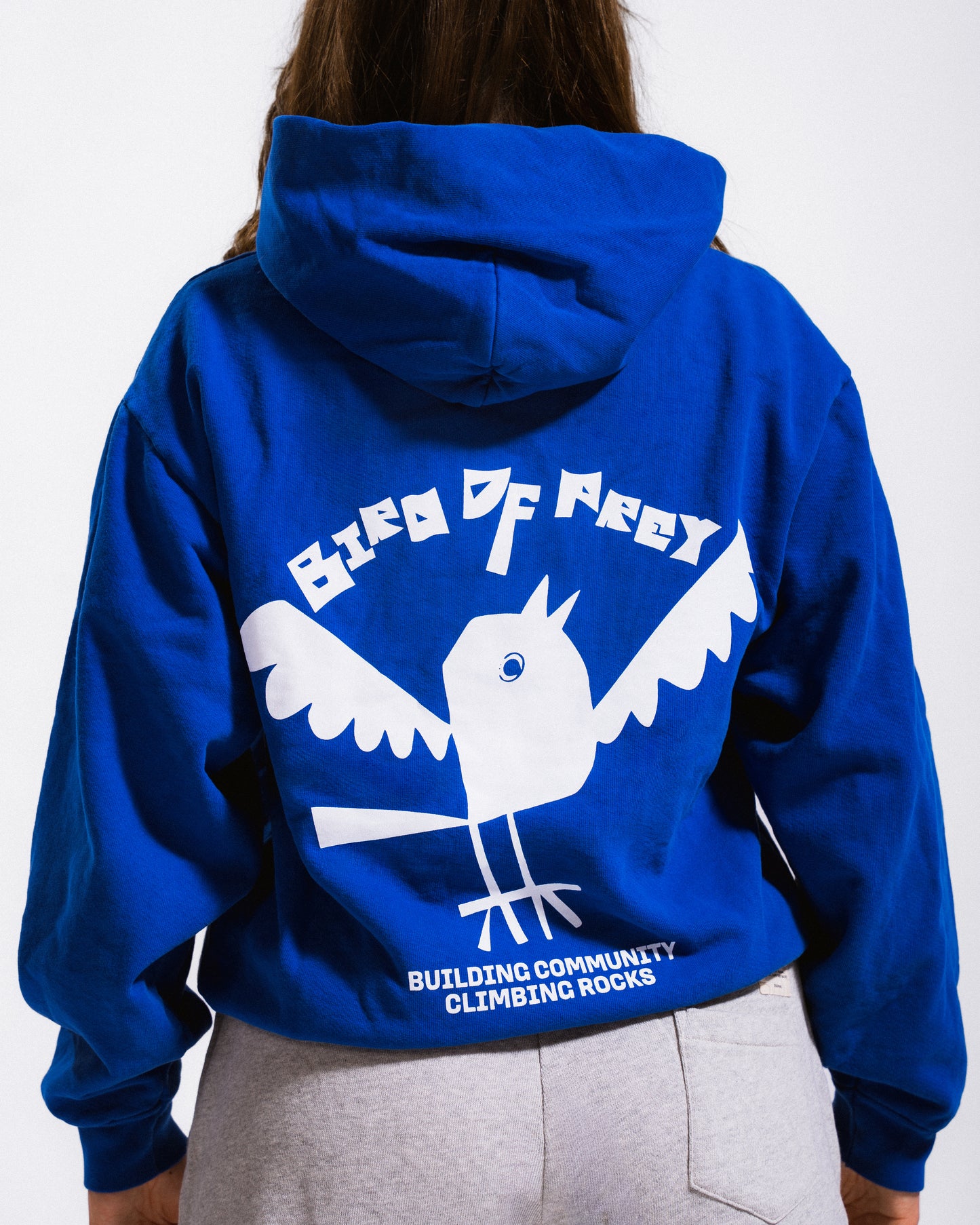 Early Bird Hoodie (Blue)