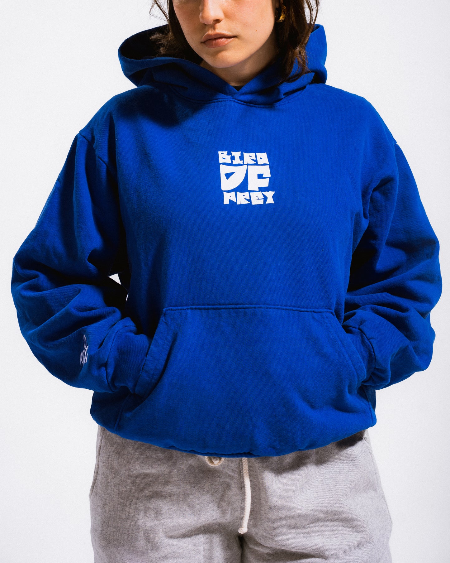Early Bird Hoodie (Blue)