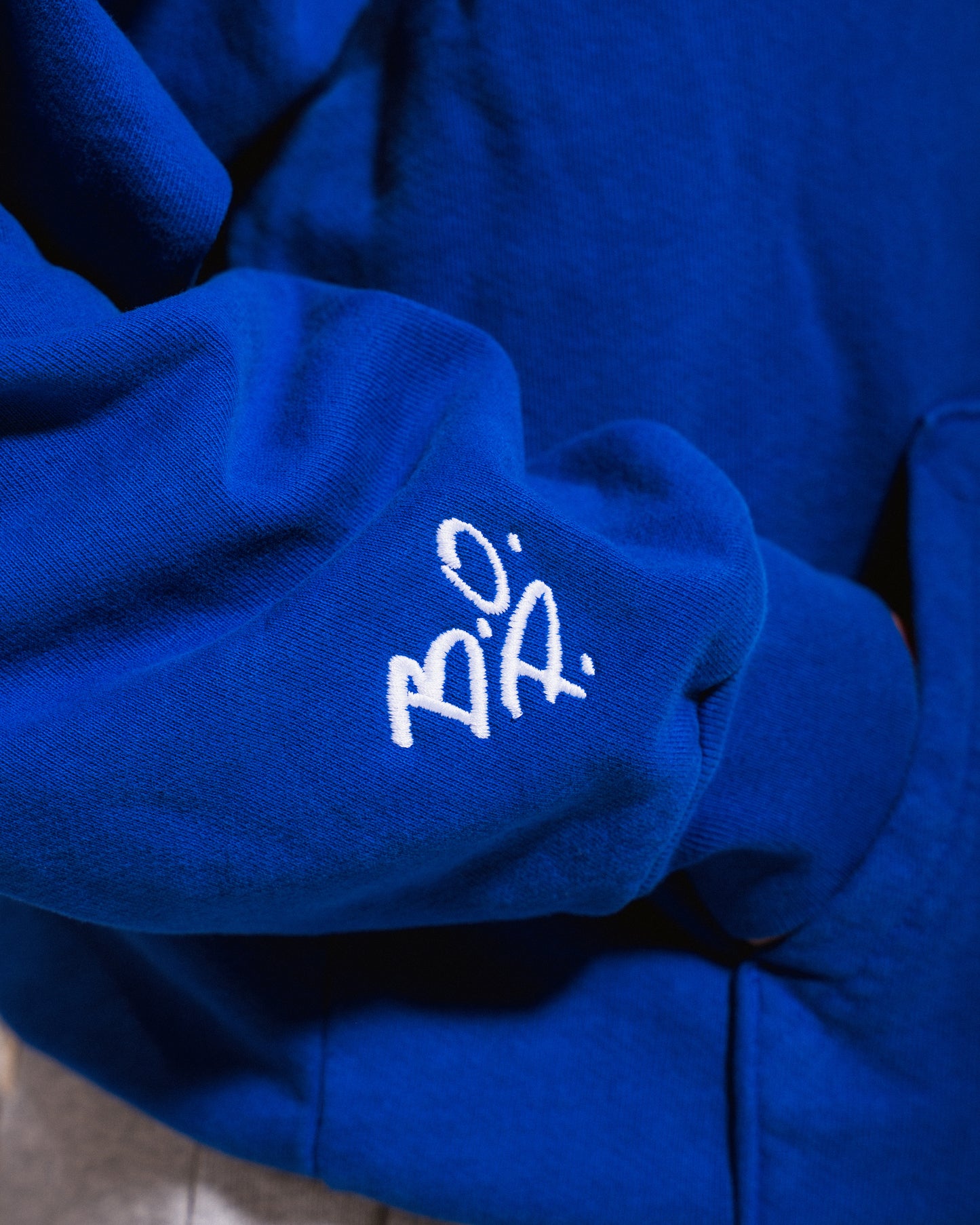 Early Bird Hoodie (Blue)